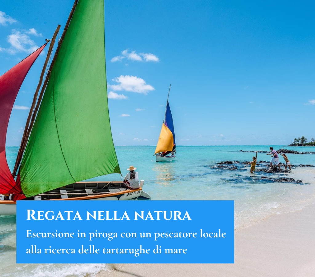 Regata nella natura