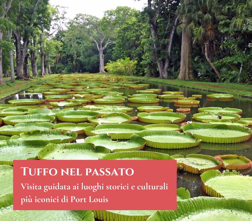 Tuffo nel passato tour