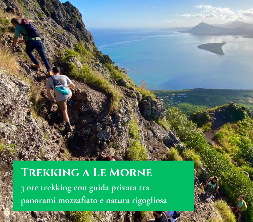 Copertine trekking Le Morne